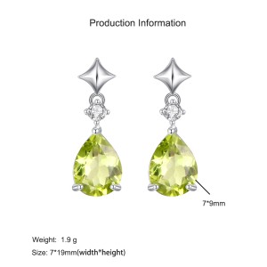 925 Sterling Silver Natural Teardrop Gemstone Earring 40100004