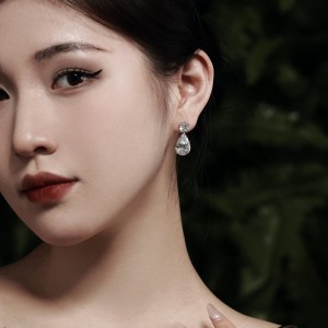 Shiny Waterdrop Zirconia Stud Earring 40200316