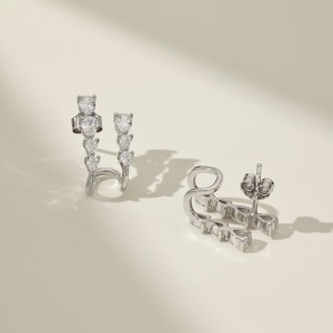 Waterdrop Zirconia Stud Earring 40200440