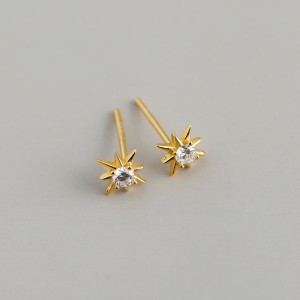 925 Sterling Silver Zirconia Octagonal Star Stud Earring 40200520