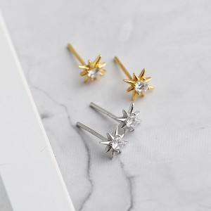 925 Sterling Silver Zirconia Octagonal Star Stud Earring 40200520