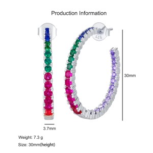 925 Sterling Silver Rainbow Zircon Hoop Earring 40200599