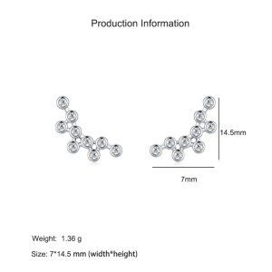 925 Sterling Silver Bubble Zircon Stud Earring 40200648
