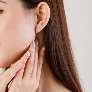 925 Sterling Silver Mini Star CZ Stud Earring 40200670