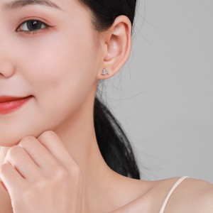 925 Sterling Silver Geometric Line Zircon Stud Earring 40200686