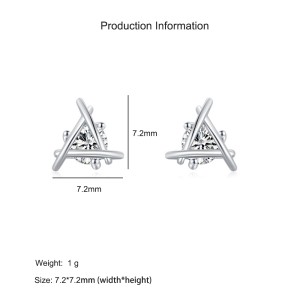 925 Sterling Silver Geometric Line Zircon Stud Earring 40200686