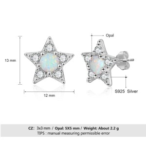 Zirconia Star Opal Stud Earring 40700025