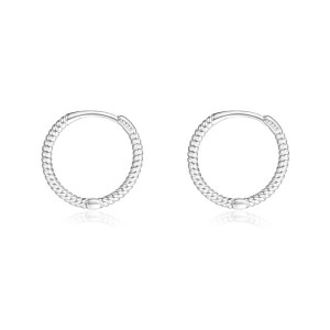 Classic Minimalism Hoop Earrings 60200197
