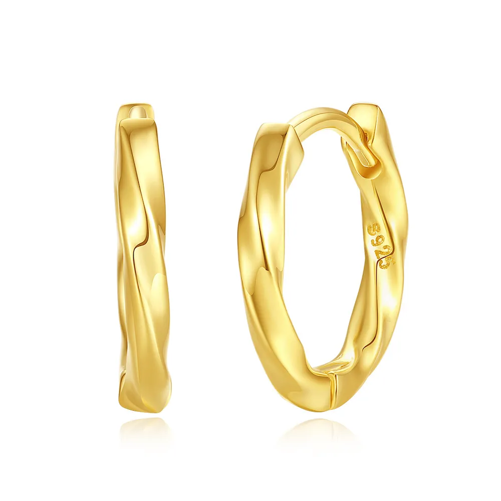 925 Sterling Silver Mobius Strip Hoop Earring 60200233