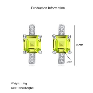 925 Sterling Silver Natural Square Gemstone Hoop Earrings 60200274