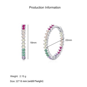 925 Sterling Silver Colorful Zircon Hoop Earring 60200353