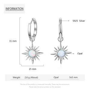 Sparkle Opal Star Charm Hoop Earrings 60300100 Sparkle Opal Star Charm Hoop Earrings 60300100