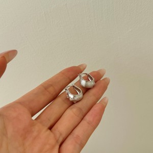 S925 Brushed Zirconia Star French Lock Earring 60400021