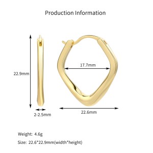 925 Sterling Silver Twisted Geometric Hoop Earrings 60400037 925 Sterling Silver Twisted Geometric Hoop Earrings 60400037