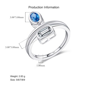 925 Sterling Silver Double Band Aquamarine CZ Ring 70100355