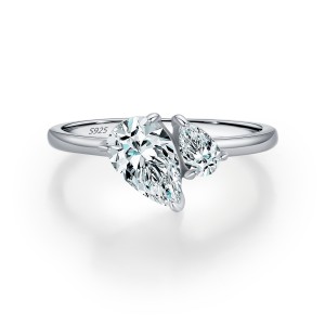 925 Sterling Silver Intertwined Love Zircon Ring 70100435