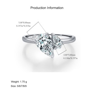 925 Sterling Silver Intertwined Love Zircon Ring 70100435