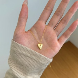 S925 Zirconia Star Brushed Heart Necklace 80200344