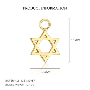 925 Sterling Silver Sweet Earring Pendant 90100056