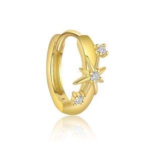 925 Sterling Silver Zirconia Star Earring Set 140100016