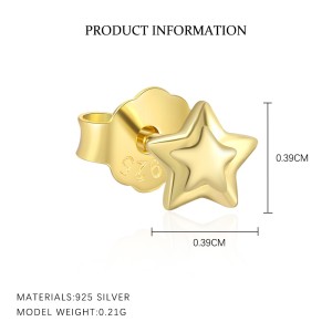 S925 Star Zirconia Stud Earring Set 140100024