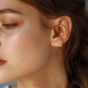 S925 Star Zirconia Stud Earring Set 140100024