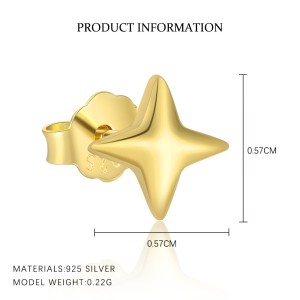 925 Sterling Silver Star Tassel Earring Set 140100029