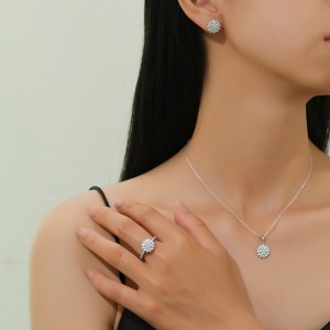 925 Sterling Silver CZ Snowflake Jewelry Set 140300016