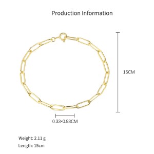 925 Sterling Silver Paperclip Chain Bracelet Necklace Fruit Charm Kit 140500002